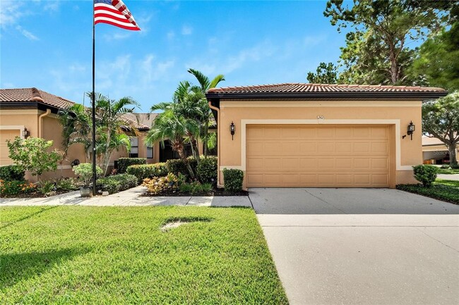 property at 242 Shell Falls Dr