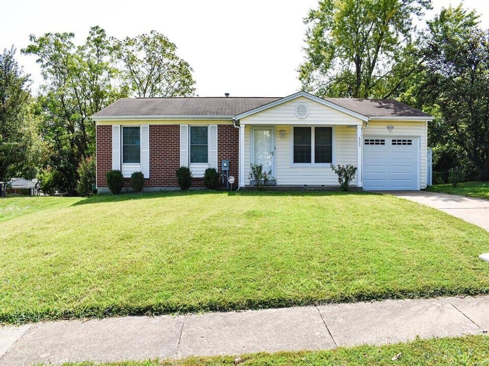 520 Cornell Ave in St. Louis, MO - Building Photo