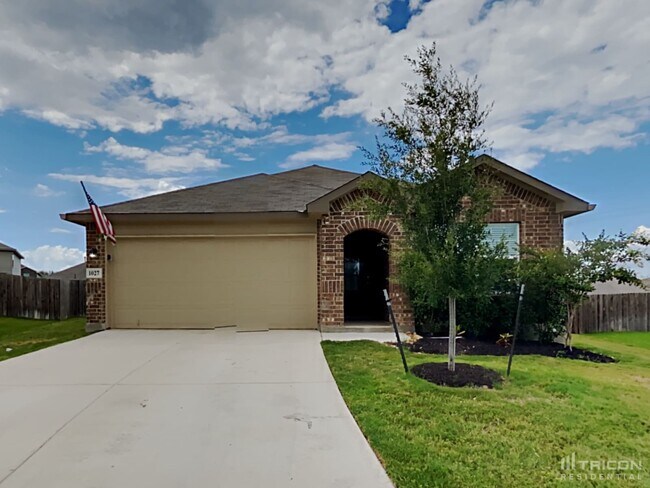 1027 House Sparrow in San Antonio, TX - Building Photo - Building Photo