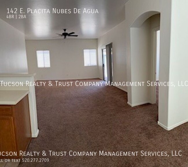 property at 142 E Placita Nubes De Agua