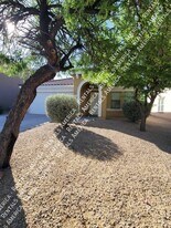 776 E Cowboy Cove Trail in San Tan Valley, AZ - Building Photo