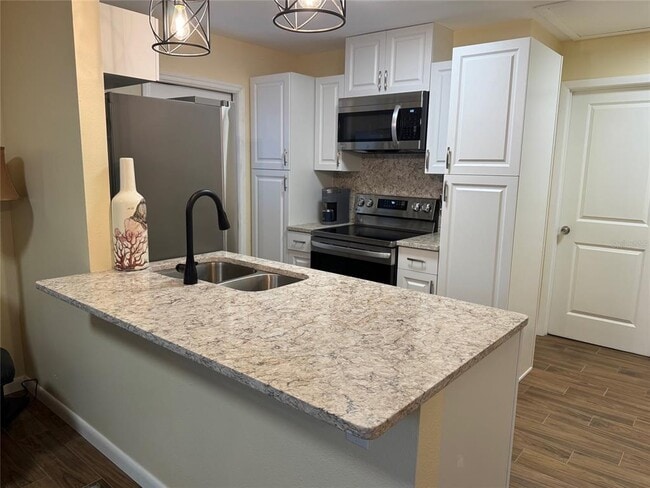 1009 Sumner Blvd in Safety Harbor, FL - Building Photo - Building Photo