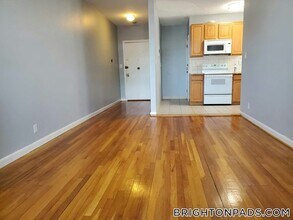 317 Summit Ave in Boston, MA - Building Photo - Building Photo