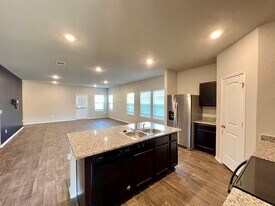 15112 Siberian Elm Ln in Austin, TX - Building Photo