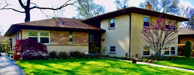property at 711 Lamon Ave