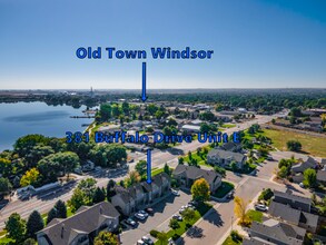 381 Buffalo Dr in Windsor, CO - Foto de edificio - Building Photo