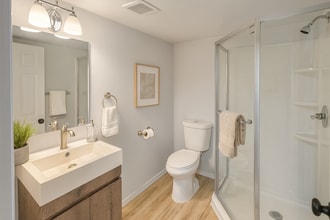 4551 4th Ave NE, Unit Basement unit in Seattle, WA - Building Photo - Building Photo