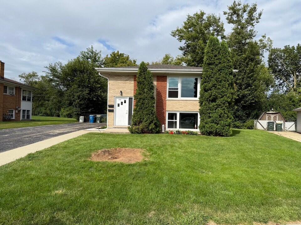 286 Wayne Ct in Bartlett, IL - Building Photo