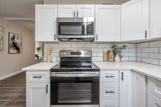8392 95th Terrace in Seminole, FL - Building Photo - Building Photo