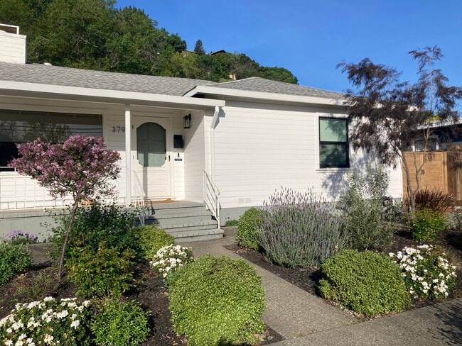 property at 379 Irwin St