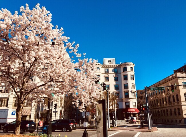 636 Beacon St, Unit 303 in Boston, MA - Building Photo - Building Photo