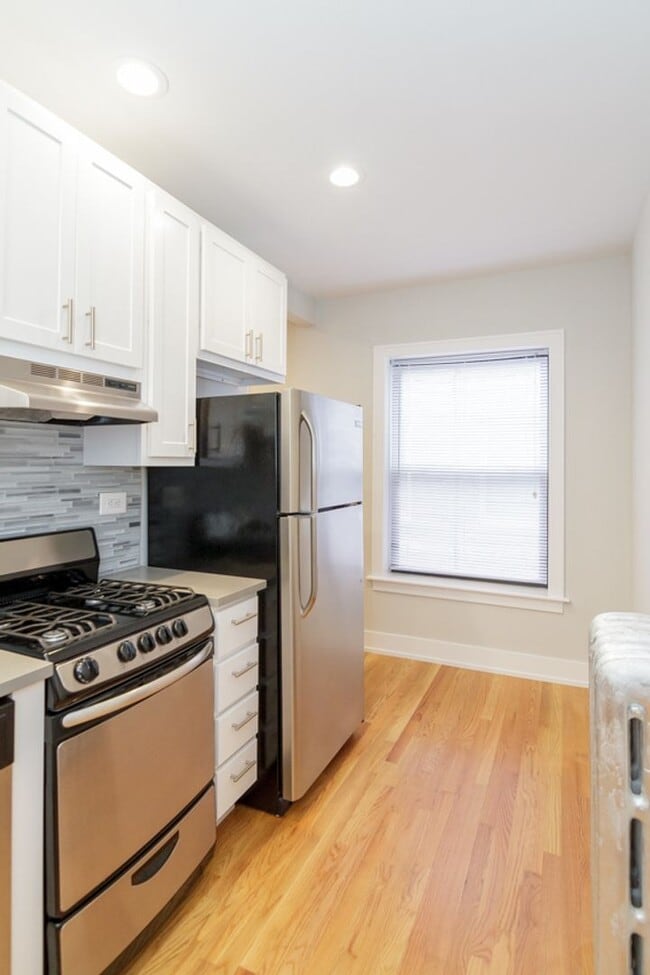 520 W Cornelia Ave, Unit 210 in Chicago, IL - Building Photo - Building Photo