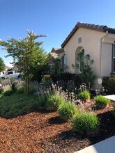 30426 Cowboy Ln in Menifee, CA - Building Photo - Building Photo