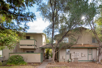 Olive Orchard Apartments in Sacramento, CA - Building Photo - Other