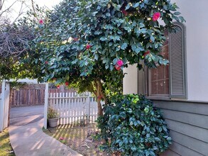 6124 Van Alstine Ave in Carmichael, CA - Building Photo - Building Photo