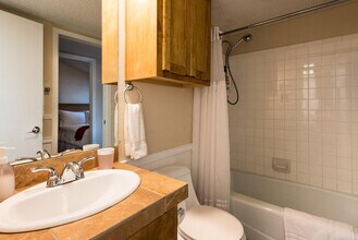 1200 Hollow Creek Dr, Unit SI ID1054229P in Austin, TX - Building Photo - Building Photo