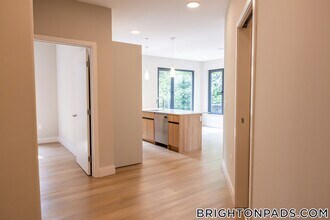 249 Corey Rd in Boston, MA - Building Photo - Building Photo