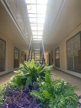 311 Jagoe Street, Unit 5 in Denton, TX - Foto de edificio - Building Photo