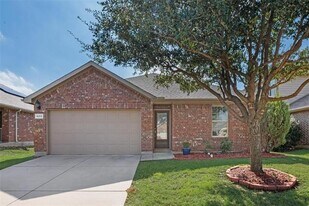 4313 Coney Island Drive in Frisco, TX - Building Photo