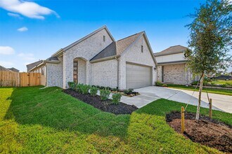 8915 Field Daisy Ct in Richmond, TX - Building Photo - Building Photo