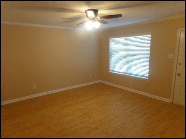 property at 15 Lillie St