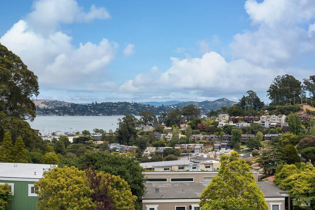 80 Lincoln Dr in Sausalito, CA - Building Photo