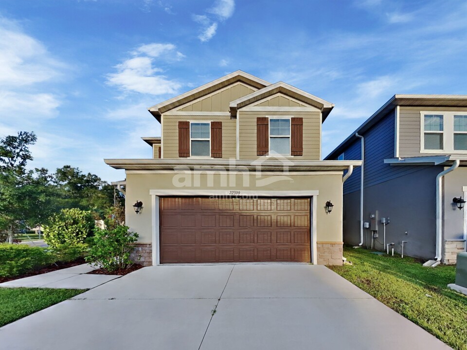 22399 Bellini Cir in Land O Lakes, FL - Building Photo