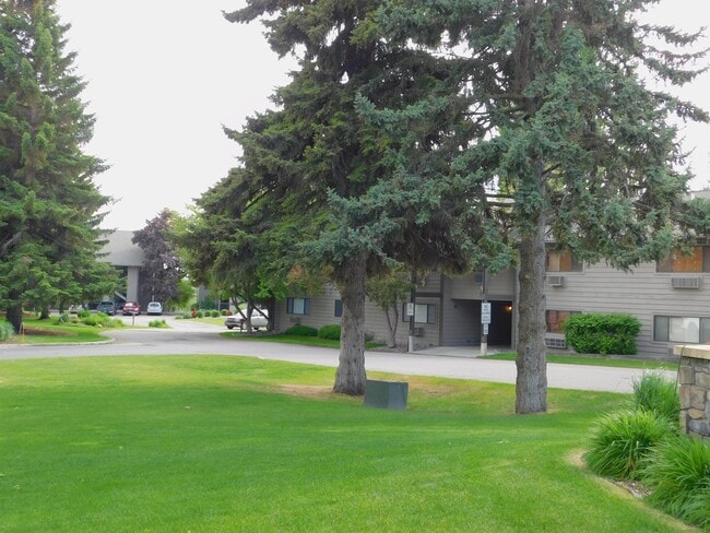 180 Vista Dr in Bigfork, MT - Building Photo - Building Photo