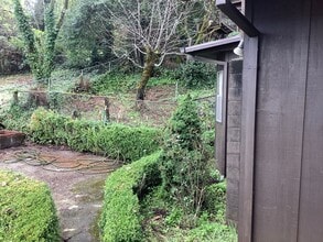 14555 Drake Rd in Guerneville, CA - Building Photo - Building Photo