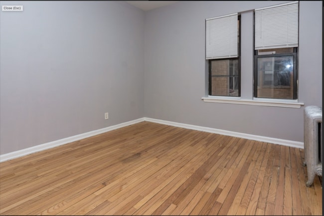 234 N Pine Ave in Chicago, IL - Building Photo - Building Photo