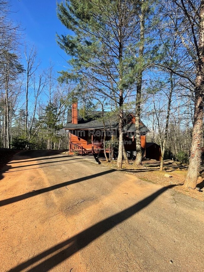 265 Hound Dog Ln in Dahlonega, GA - Building Photo - Building Photo