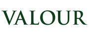 Property Management Company Logo Valour Group