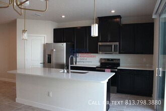 20295 Lou Angela Ln in Lutz, FL - Building Photo - Building Photo