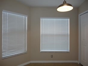 3306 Hoylake Ct in Land O Lakes, FL - Building Photo - Building Photo