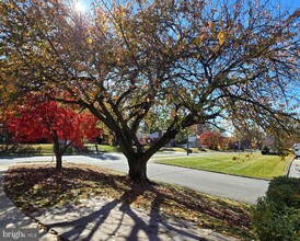 212 Courtland Pl in Bel Air, MD - Foto de edificio - Building Photo