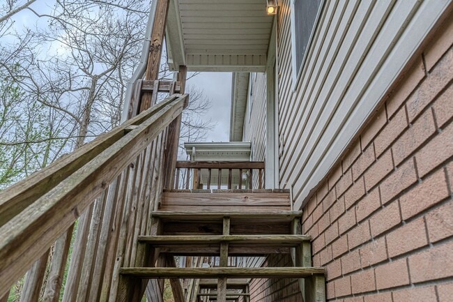 2305 S Greenwood Dr in Johnson City, TN - Building Photo - Building Photo