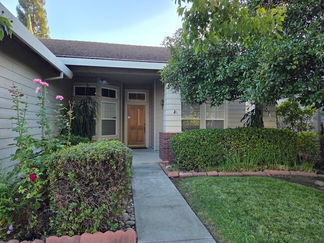 5534 New Vista Dr in Rocklin, CA - Foto de edificio - Building Photo