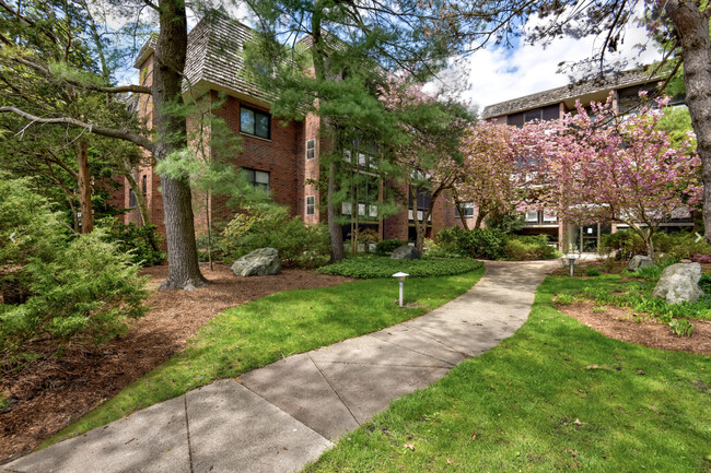Blair Pond Estates in Cambridge, MA - Building Photo - Building Photo