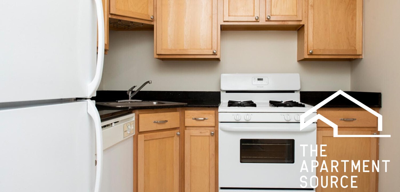 1251 W Henderson St, Unit 3 in Chicago, IL - Building Photo