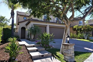 16244 Palomino Mesa Ct