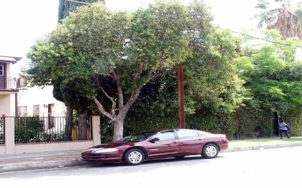 8144 Sepulveda Pl in Panorama City, CA - Foto de edificio
