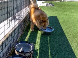 Brisa in St. Augustine, FL - Building Photo