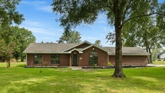 10 Autumn Oaks Dr in Baytown, TX - Building Photo