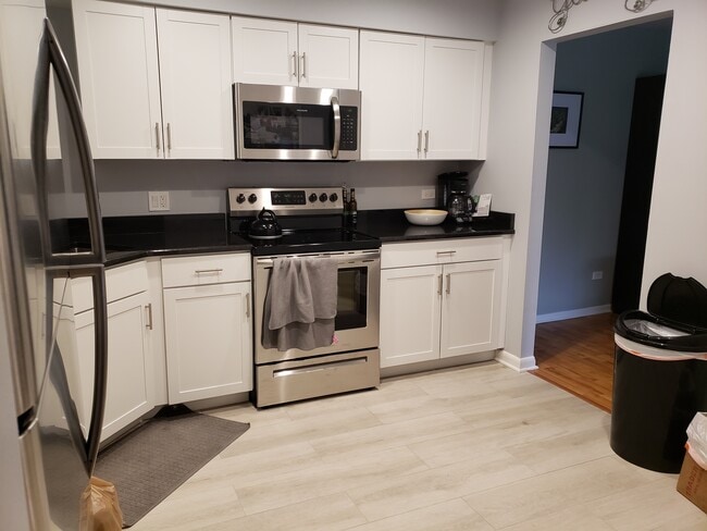 1002 Castilian Ct, Unit 206 in Glenview, IL - Building Photo - Building Photo