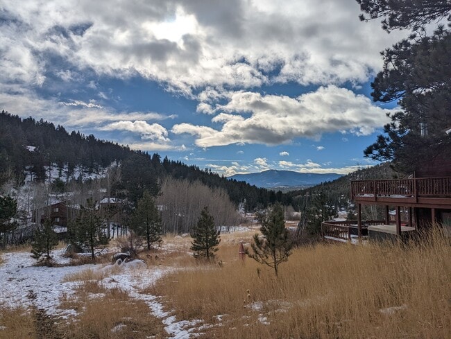 120 Wisp Creek Dr, Unit Tree Top in Bailey, CO - Building Photo - Building Photo