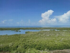 1001 Arbor Lake Dr in Naples, FL - Building Photo - Building Photo