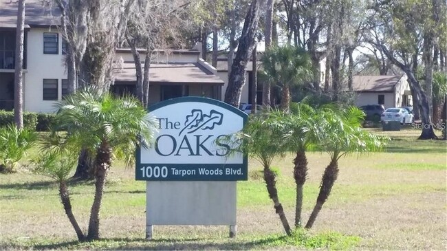 1000 Tarpon Woods Blvd in Palm Harbor, FL - Building Photo - Building Photo