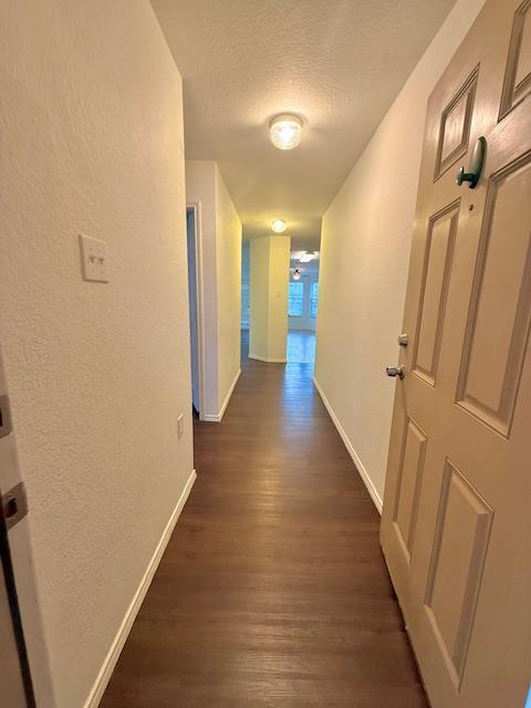 314 Paddington Dr in Kyle, TX - Building Photo - Building Photo