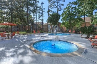 Sunpark Apartment Homes in Conroe, TX - Foto de edificio - Building Photo