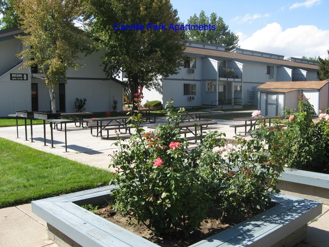 Carville Park Apartments in Reno, NV - Foto de edificio - Other